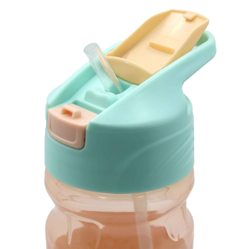 Παγούρι Frozen 550ml με Καλαμάκι Flip - BPA Free