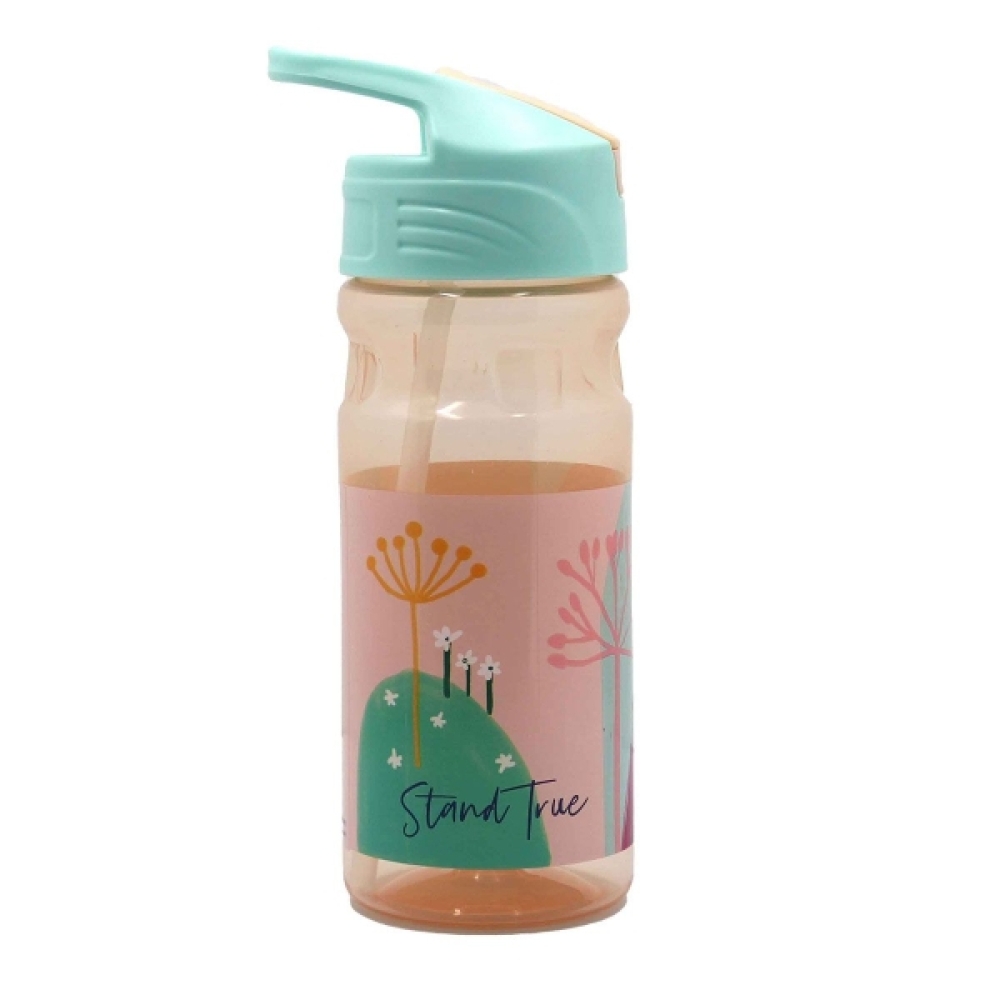 Παγούρι Frozen 550ml με Καλαμάκι Flip - BPA Free